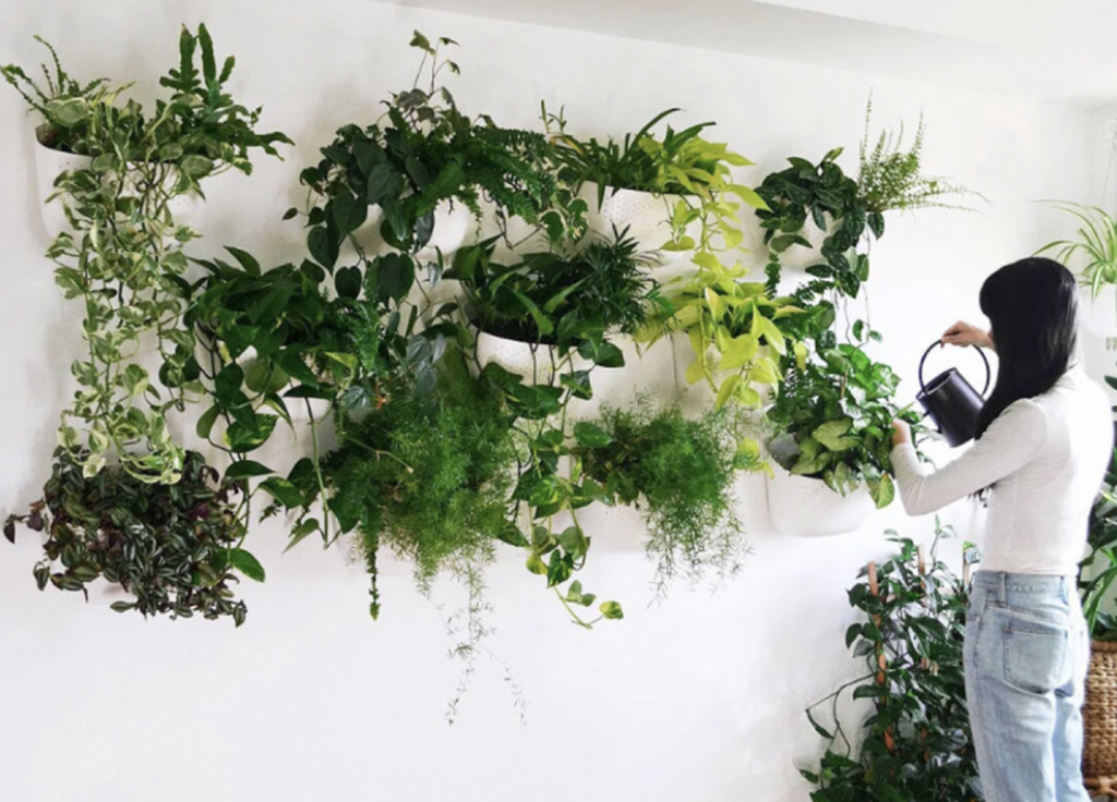 Living Wall Planters by WallyGro